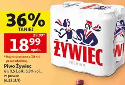 Auchan Piwo Żywiec oferta
