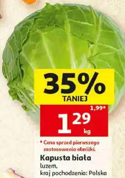 Auchan Kapusta biała luzem oferta