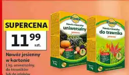 Auchan Nawóz jesienny w kartonie Planta oferta
