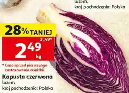 Auchan Kapusta czerwona luzem oferta