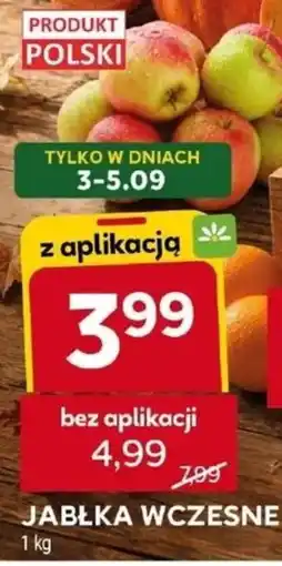 Stokrotka Jabłka wczesne oferta