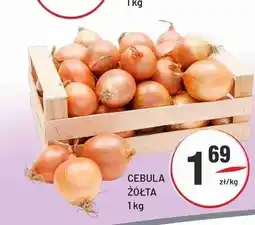 Sedal Cebula żółta oferta