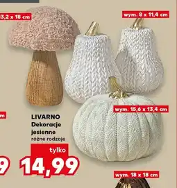 Kaufland Dekoracje jesienne Livarno oferta