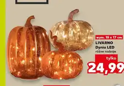 Kaufland Dynia LED Livarno oferta