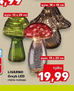 Kaufland Grzyb LED Livarno oferta