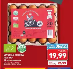 Kaufland Jajka kurze BIO Wysoka Grzęda oferta