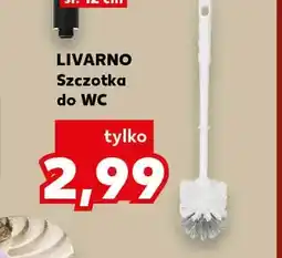 Kaufland Szczotka do Wc Livarno oferta