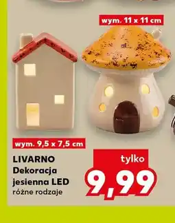 Kaufland Dekoracja jesienna LED Livarno oferta