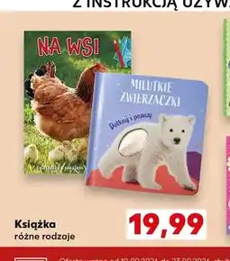 Kaufland Książka oferta