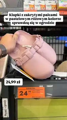 Biedronka Klapki ogrodowe zakryte Clevé oferta