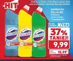 Kaufland Płyn do WC biobójczy Domestos oferta