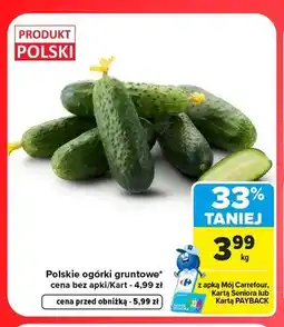 Carrefour Ogórki gruntowe polskie oferta