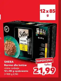 Kaufland Karma dla kotów Sheba 12-pak oferta