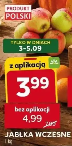 Stokrotka Market Jabłka wczesne oferta