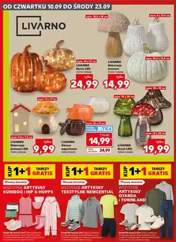 Kaufland LIVARNO Dekoracja jesienna LED oferta
