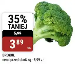 bi1 Brokuł oferta