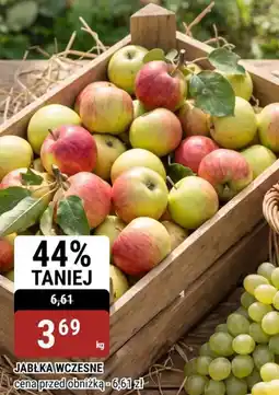 bi1 JABŁKA WCZESNE oferta