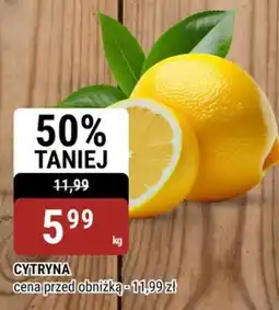 bi1 Cytryna oferta