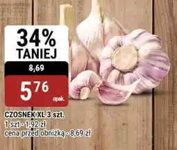 bi1 Czosnek xl oferta