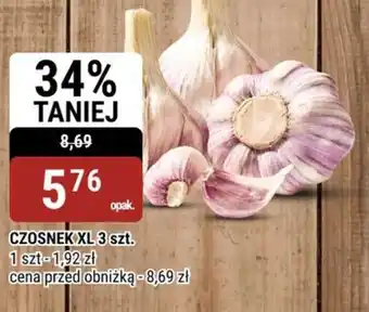 bi1 Czosnek xl oferta