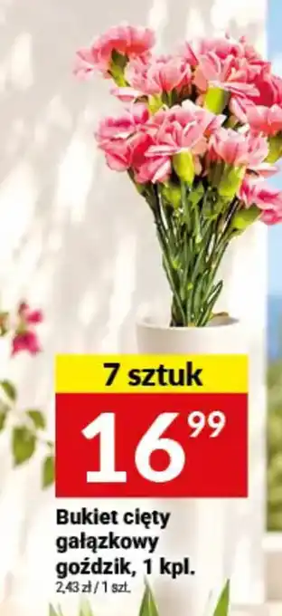 Twój Market Bukiet cięty gałązkowy goździk oferta