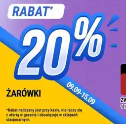 bi1 Żarówki oferta