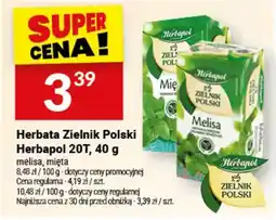 Twój Market Herbata Zielnik Polski Herbapol 20T oferta