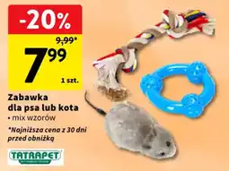 Intermarche Zabawka dla psa lub kota oferta