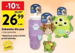 Intermarche Zabawka dla psa oferta