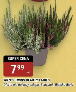 bi1 Wrzos Twins Beauty Ladies oferta