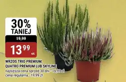 bi1 Wrzos Trio Premium, Quatro Premium lub Skyline oferta
