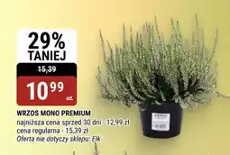 bi1 Wrzos Mono Premium oferta