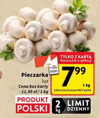 Pieczarka luz