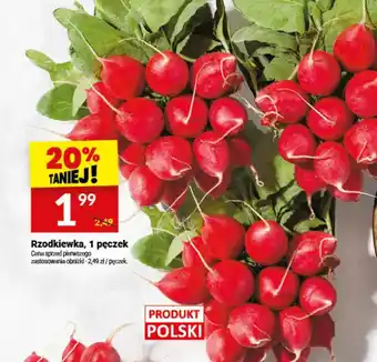 Twój Market Rzodkiewka oferta