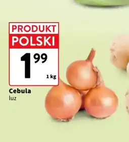 Intermarche Cebula luz oferta