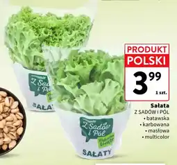 Intermarche Sałatka Z Sadów i Pól oferta