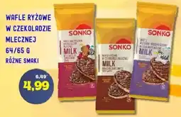 Hale Banacha Wafle Ryżowe w Czekoladzie Mlecznej oferta