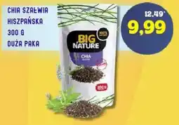Hale Banacha Chia Szałwia Hiszpańska Big Nature oferta