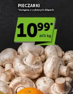 Groszek Pieczarki oferta
