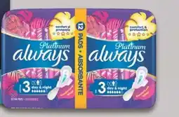 Hebe Always Platinum Day & Night oferta