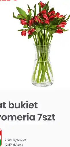 Dino Kwiat bukiet Alstromeria 7szt oferta