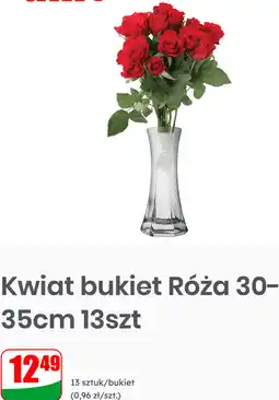 Dino Kwiat bukiet Róża 30-35cm 13szt oferta