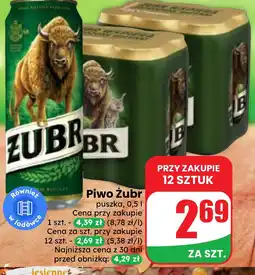 Dino Piwo Żubr oferta
