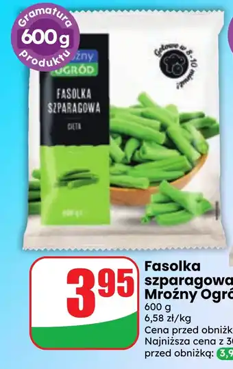 Fasolka szparagowa Mroźny Ogród