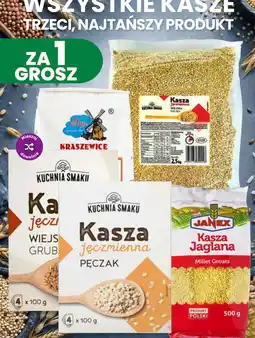 Dino Kasza jęczmienna Pęczak oferta