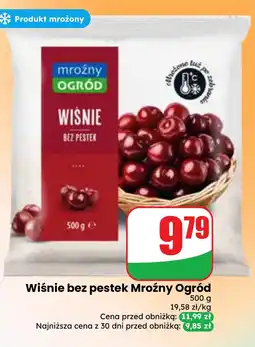 Dino Wiśnie bez pestek Mroźny Ogród oferta