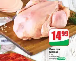 Dino Kurczak Sielski oferta