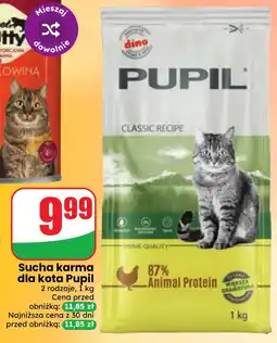 Dino Sucha karma dla kota Pupil oferta
