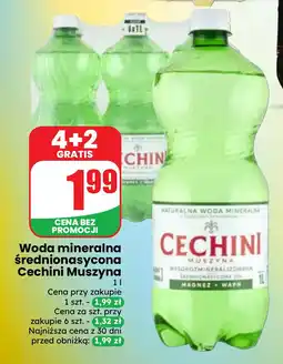 Dino Woda mineralna średnionasycona Cechini Muszyna oferta