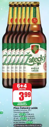 Dino Piwo Żatecký Ležák oferta